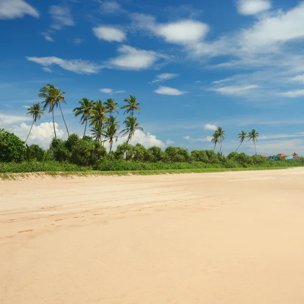 Beautiful coastline and blue sky — Stock Photo, Image