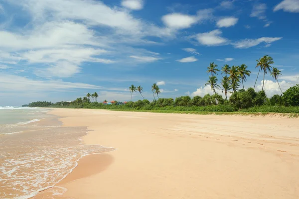 Beautiful coastline and blue sky — Stock Photo, Image