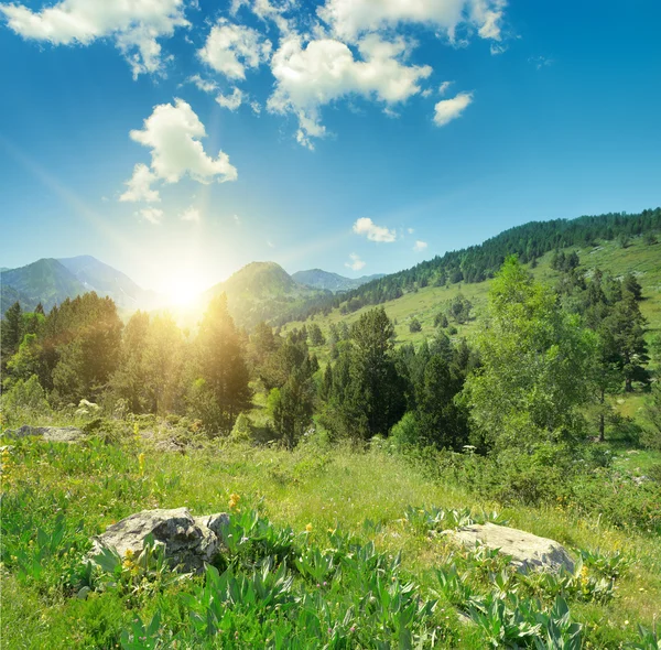 Nascer do sol nas montanhas com rochas em primeiro plano — Fotografia de Stock