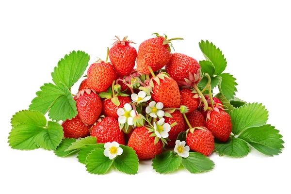 Strawberry isolerad på en vit — Stockfoto
