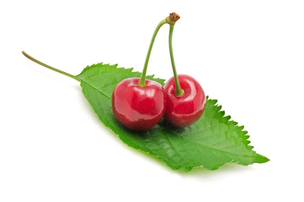 Cherries on leaf — Stock Photo, Image