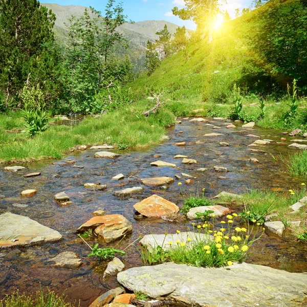 Estanque de jardín patio con cascada — Foto de stock © jpldesigns