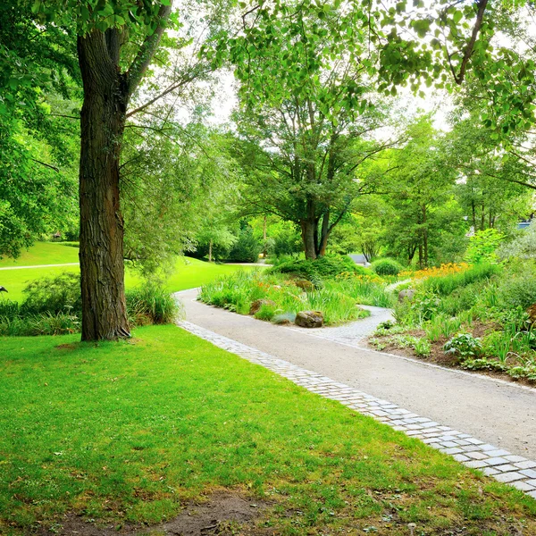 Wandelpaden in het park — Stockfoto