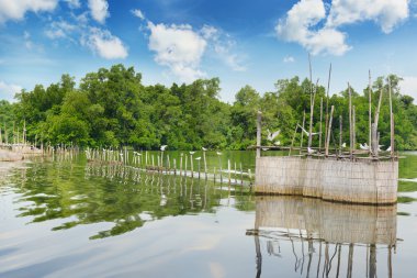 gölde balık tutmak için çit