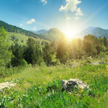 Ön planda taşlarla dağlarda gündoğumu