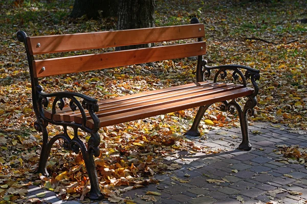 Wooden bench in the park — Stock Photo, Image