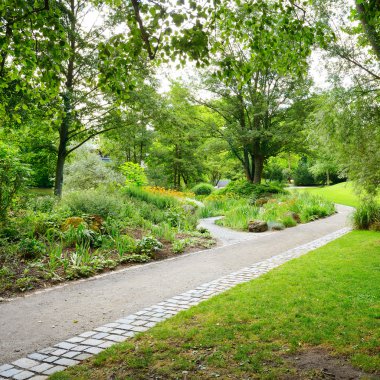 Parkta yürüyüş yolları