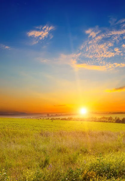 Широкий Ландшафт Зеленого Поля Епічний Захід Сонця — стокове фото