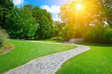 Güneşin doğuşu güzel parkta