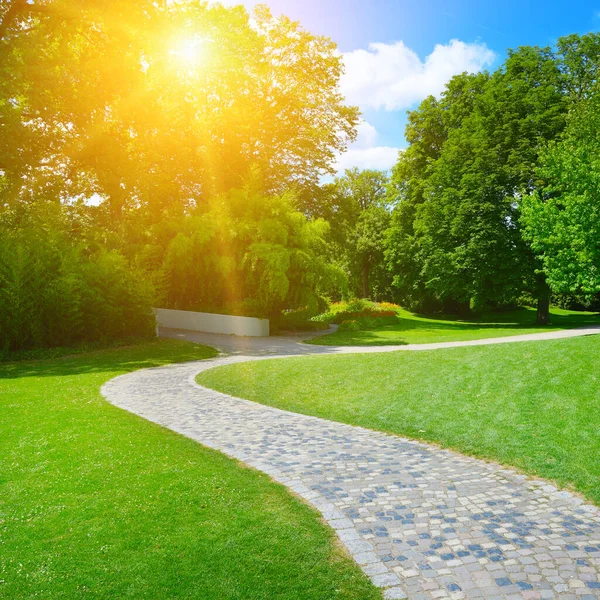 Sunrise Beam Beautiful Park — Stock Photo, Image