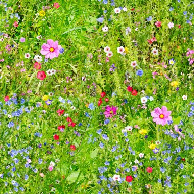 Kusursuz desenli çiçekler. Büyük yinelenen doğal arkaplan.