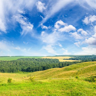 Muhteşem çayır manzarası ve parlak mavi gökyüzü