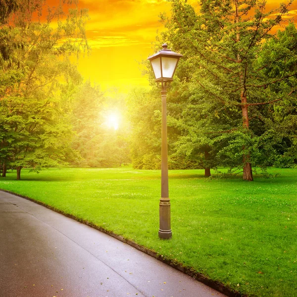 Сценический Восход Солнца Парке Пешеходной Дорожкой Фонарем — стоковое фото