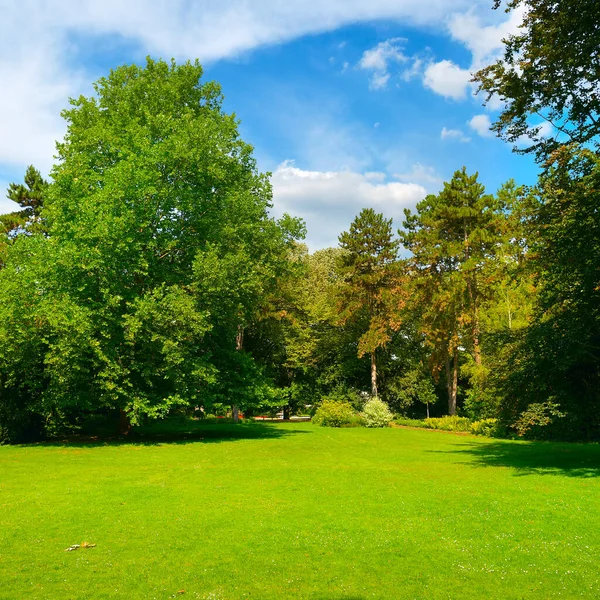 Krásná Letní Zahrada Zelenou Loukou Vysokými Stromy — Stock fotografie
