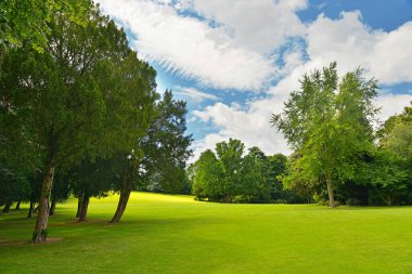 Güzel yaz parkında büyük bir golf sahası