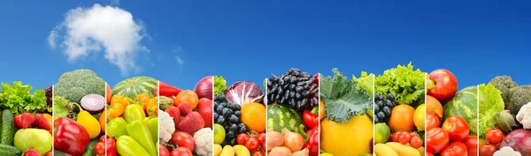 Panorama Legumes Frutas Separados Por Linhas Verticais Contra Céu Azul — Fotografia de Stock