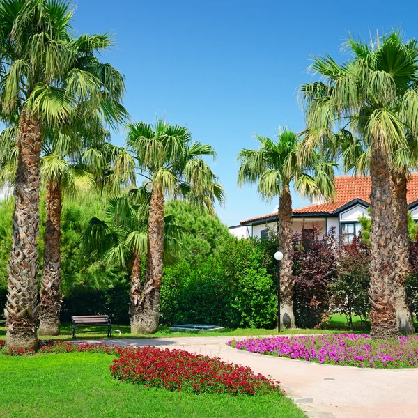 Prato pittoresco nel parco — Foto Stock