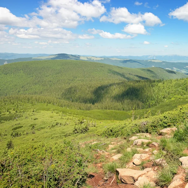 Montanhas árvores cobertas — Fotografia de Stock