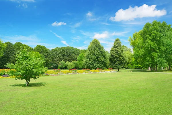 Hermoso prado en el parque — Foto de Stock