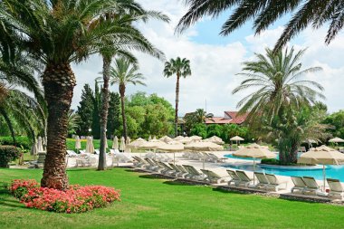 lounge stoelen om te ontspannen op het groene gazon