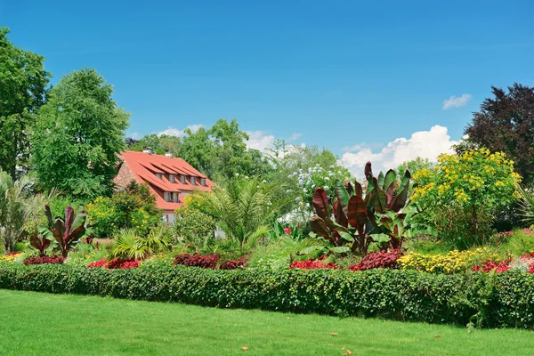 Malerischer Rasen im Park — Stockfoto