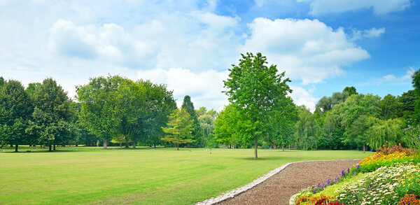 Multicolored flowerbed on a glade