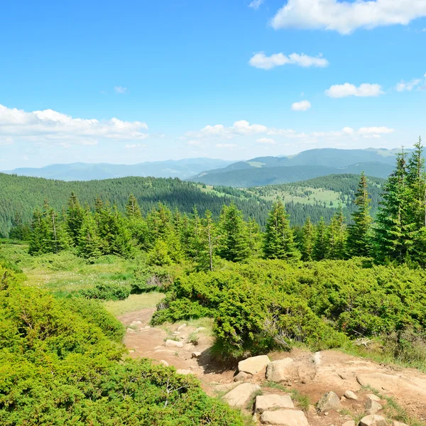 Montagne coperte di alberi — Foto Stock