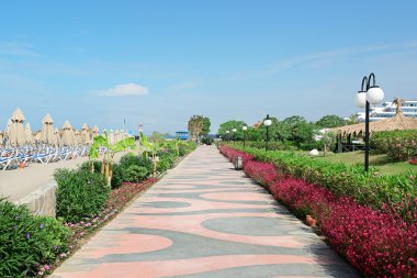 yürüyüş için güzel sokak