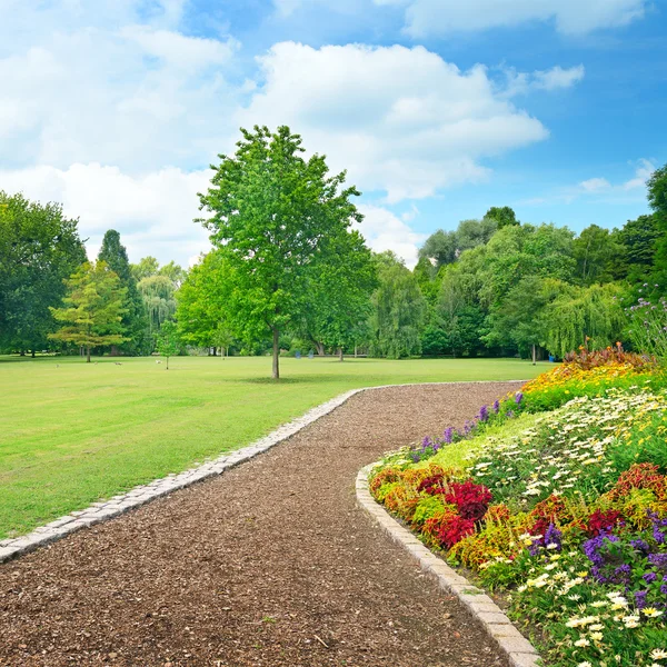 Çok renkli flowerbed üzerinde bir Kayran — Stok fotoğraf