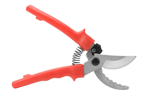 Pruner — Stock Photo, Image