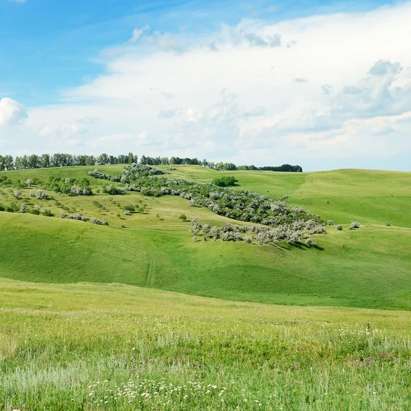 Гірська місцевість — стокове фото