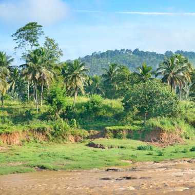 Ekvator ormanlarının Nehri yakınında.
