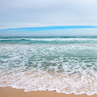 dalgalar deniz ve sarı kum      