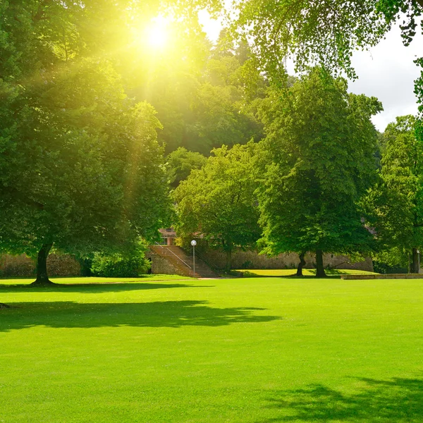 Lever de soleil dans un beau parc . — Photo