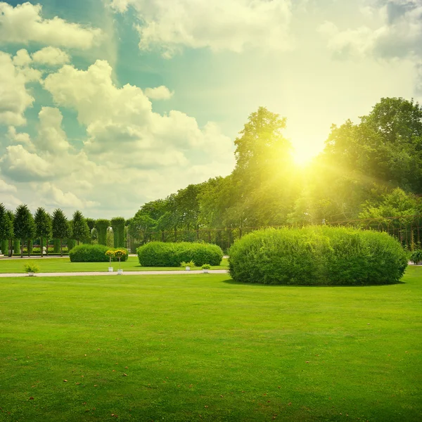 Lever de soleil dans un beau parc — Photo