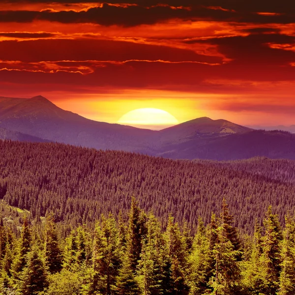 Fantastica alba in montagna — Foto Stock