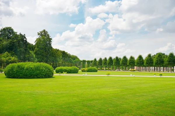 公園内の美しい牧草地 — ストック写真