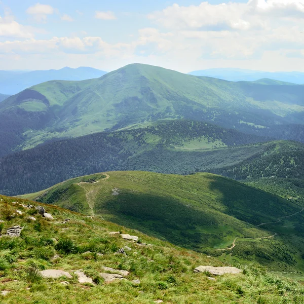 Beautiful mountains covered trees — Stock Photo, Image