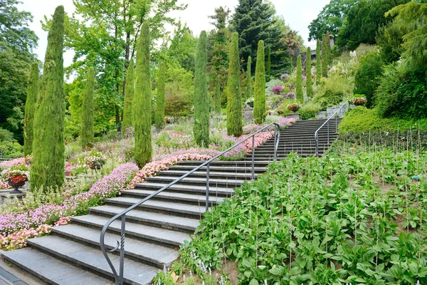 Güzel bir parkta güzel merdiven — Stok fotoğraf