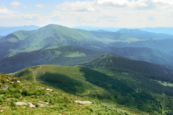 Beautiful mountains covered trees — Stock Photo, Image