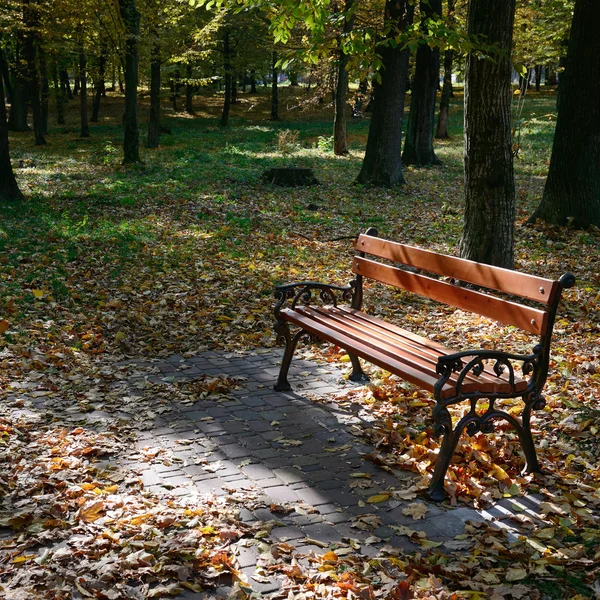 Houten bankje in het park in het zonlicht — Stockfoto