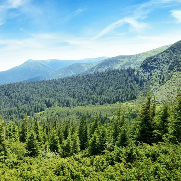 Montagne coperte di alberi e cielo blu — Foto Stock