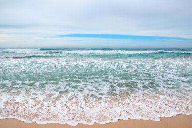 dalgalar deniz ve sarı kum      