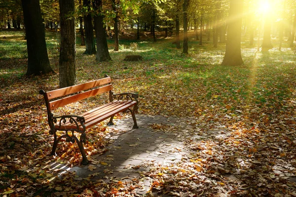 Dawn in the autumn park — Stock Photo, Image