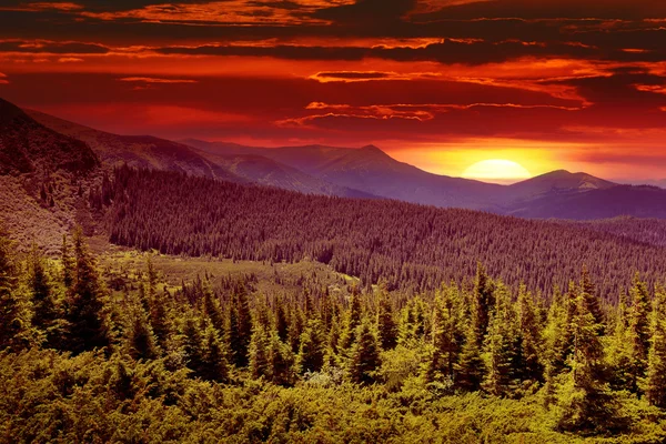 Fantastica alba in montagna — Foto Stock
