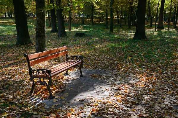 Wooden bench in the park in the sunlight — Stock Photo, Image