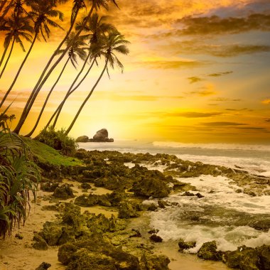 fantastik günbatımı okyanus üzerinde