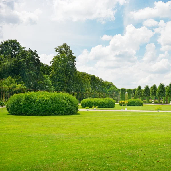 Belle prairie dans le parc — Photo