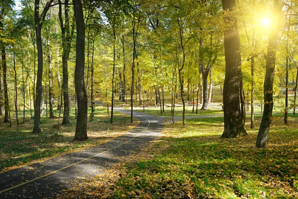 Rayons de soleil dans le parc d'automne — Photo