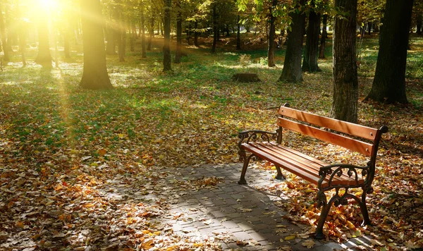 Amanecer en el parque de otoño — Foto de Stock